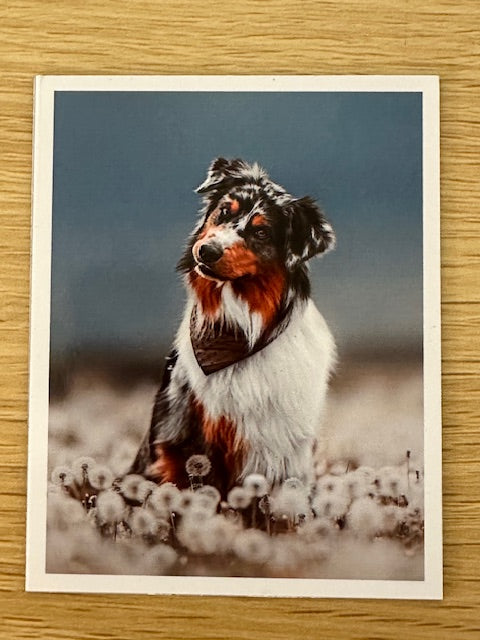 Polaroid Photo Magnets