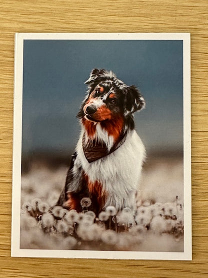 Polaroid Photo Magnets