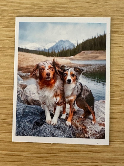 Polaroid Photo Magnets