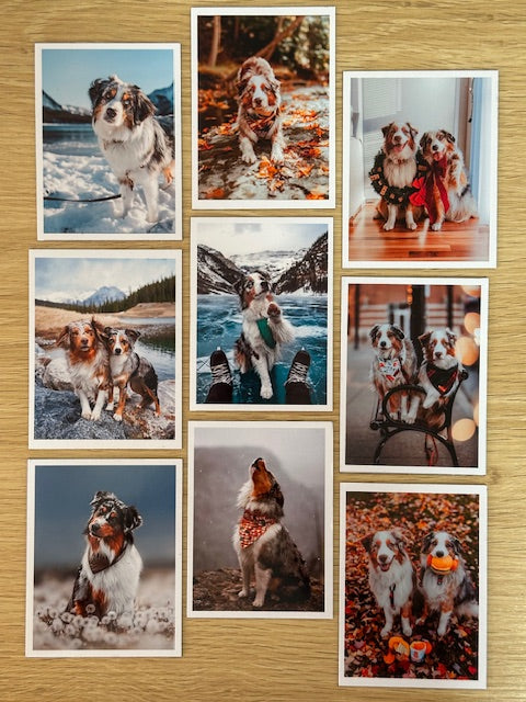 Polaroid Photo Magnets